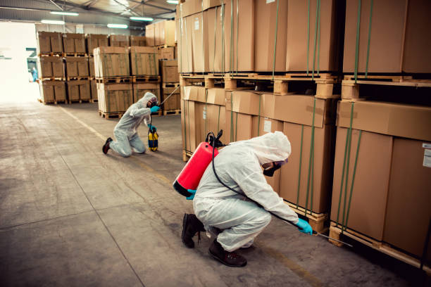 Best Affordable Pest Control Services  in Tower Lakes, IL