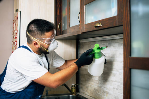 Best Ant Control Services  in Tower Lakes, IL
