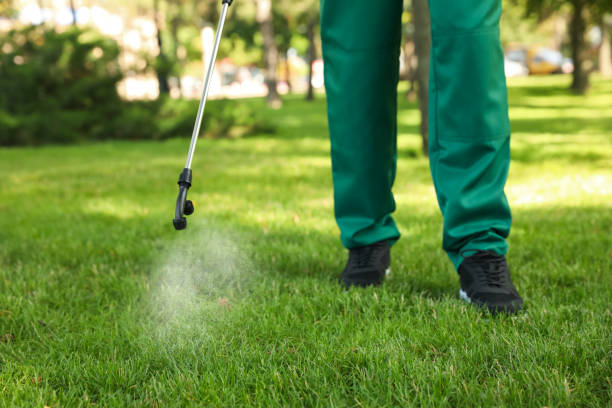 Best Wasp Removal Services  in Tower Lakes, IL