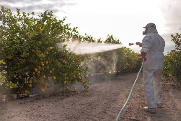 Best Bed Bug Extermination  in Tower Lakes, IL