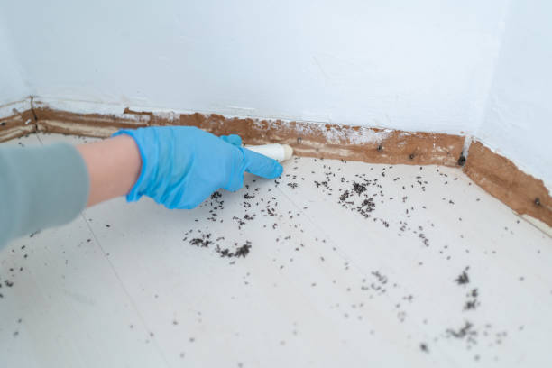 Pest Control for Restaurants in Tower Lakes, IL